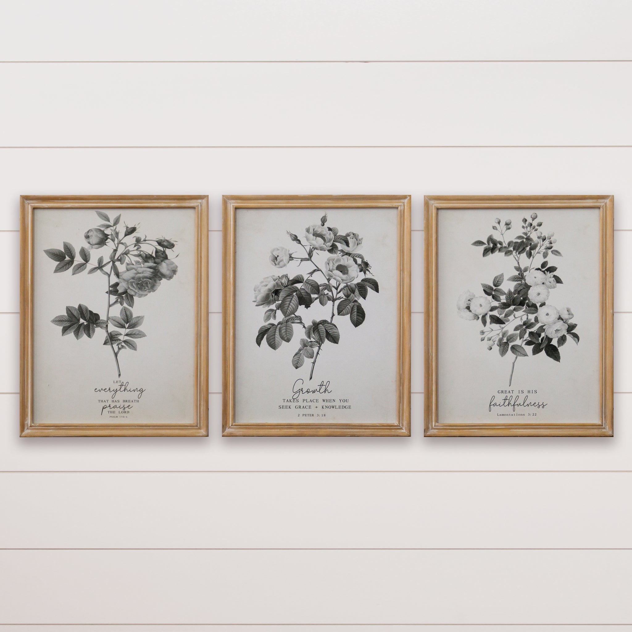 Framed Botanicals with Bible Verses Wall Art (S/3)