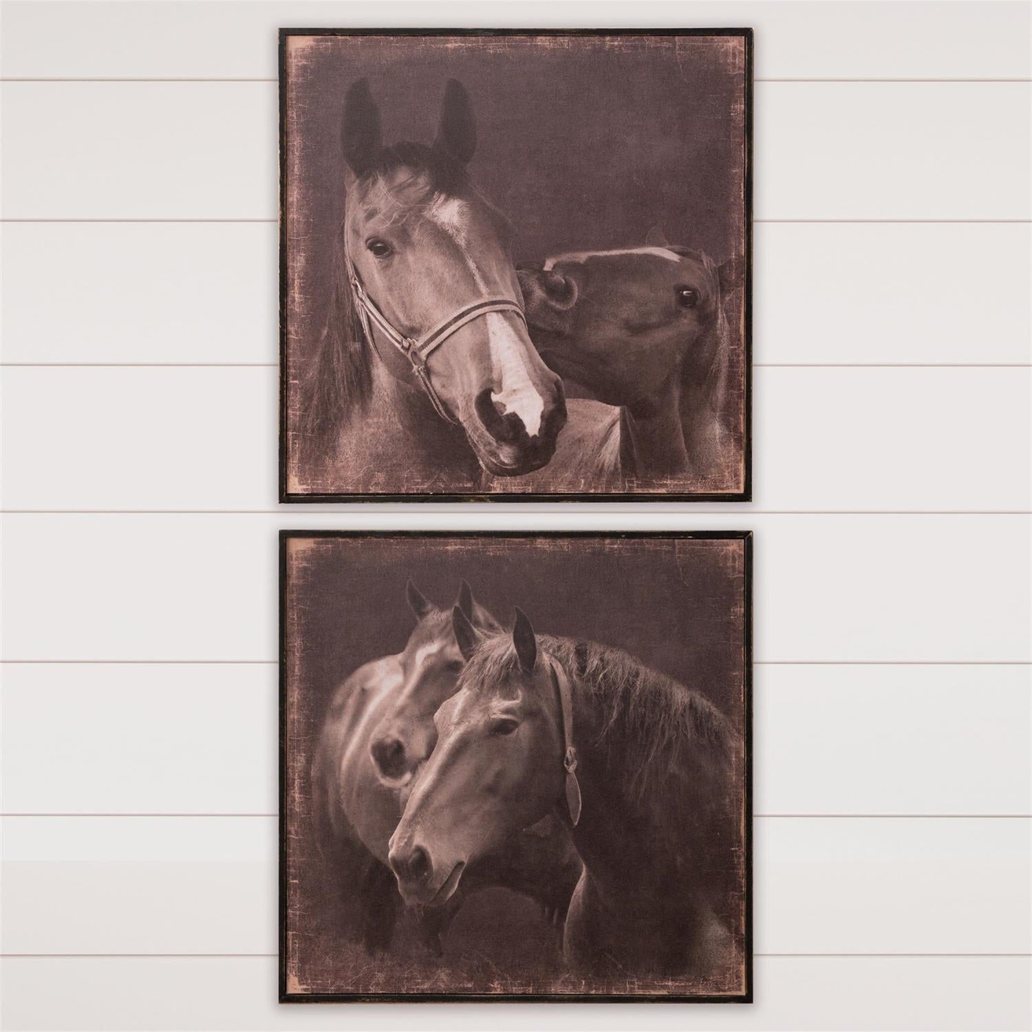 Framed Print - Horse Portraits