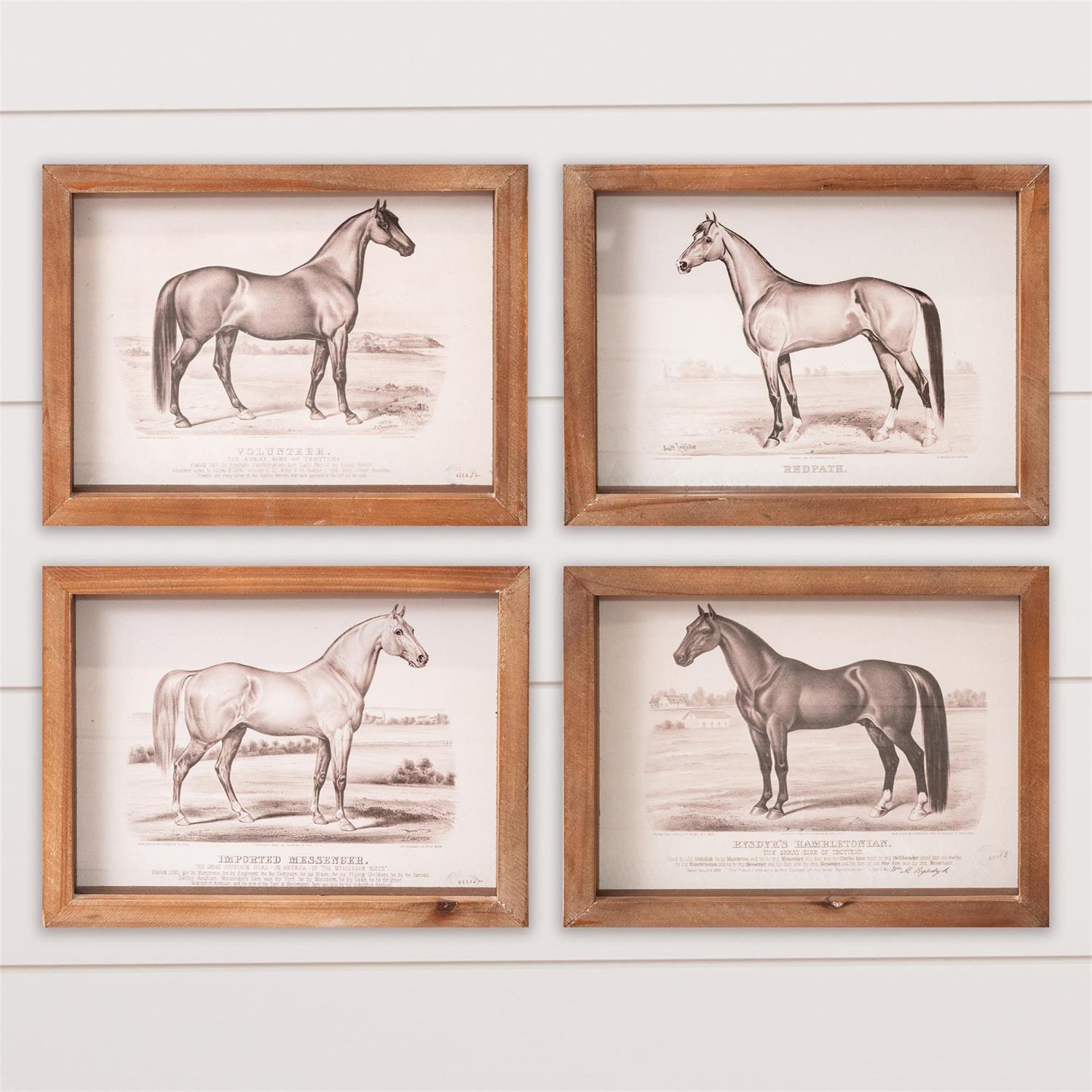 Small Framed Prints - Horse Champions