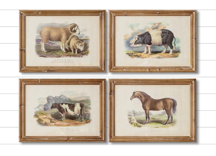 Framed Farm Animal Prints (S/4)