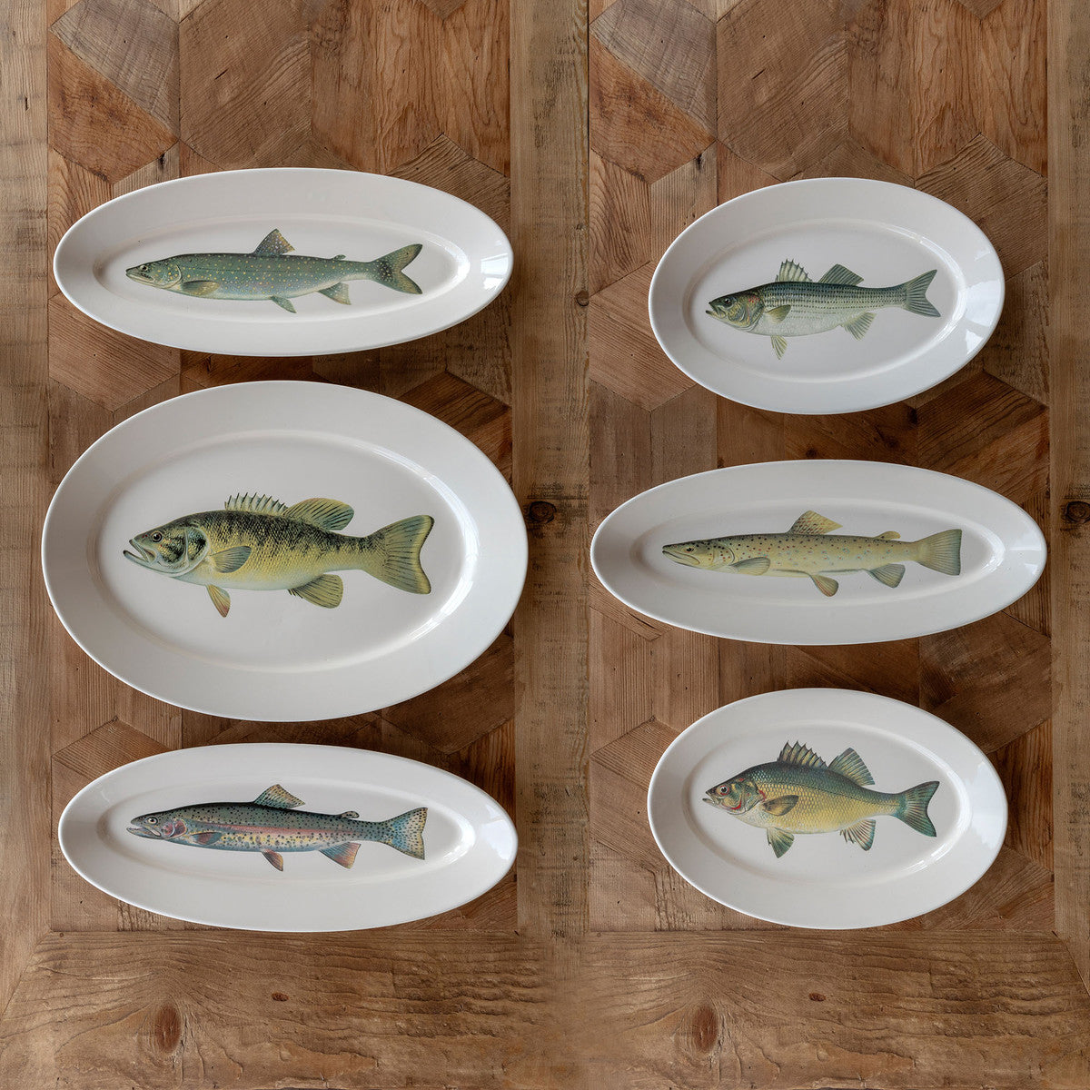 Collected Fish Platters (Set of 6) (5610083188893)
