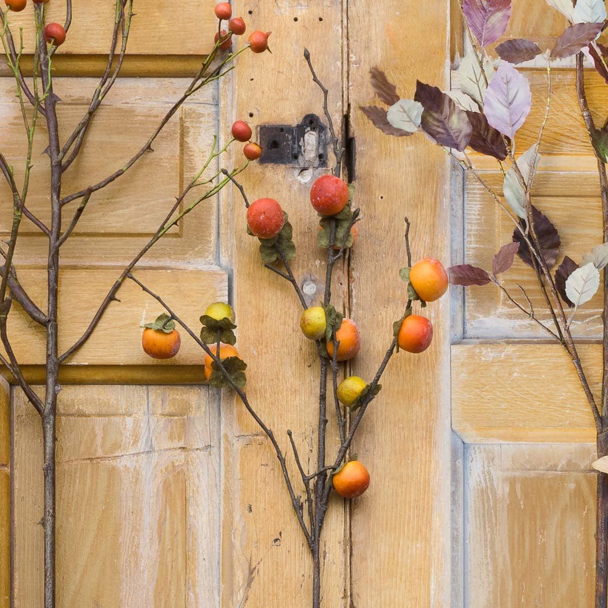 Autumn Persimmon Branch (5610103898269)