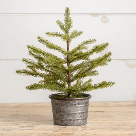 18" Potted Pine Tree
