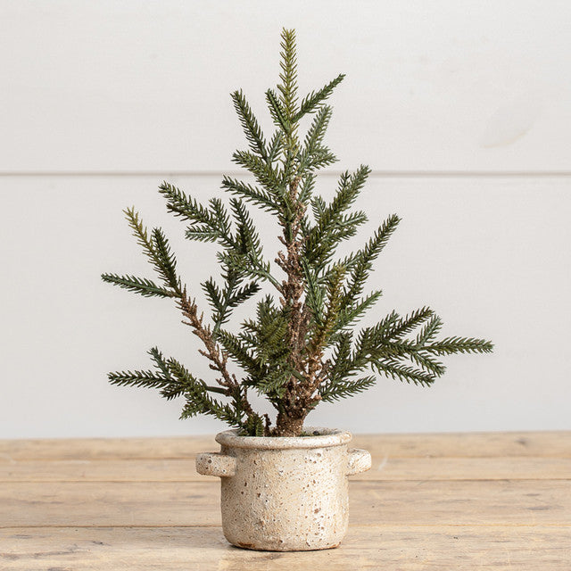 13" Pine Tree in Ceramic Pot w/ Pinecones
