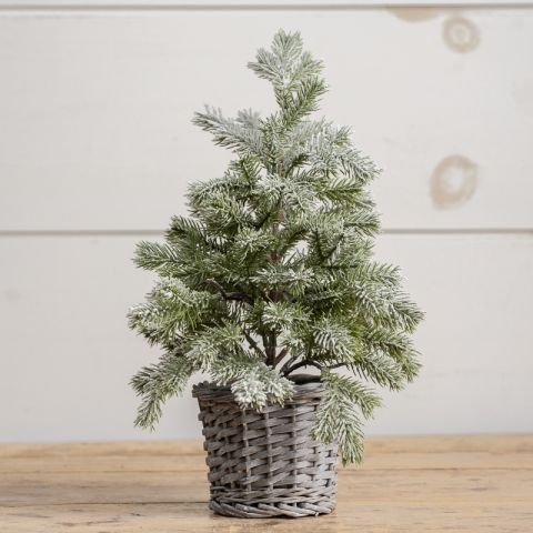 16.5" Snowy Pine in Whitewashed Basket