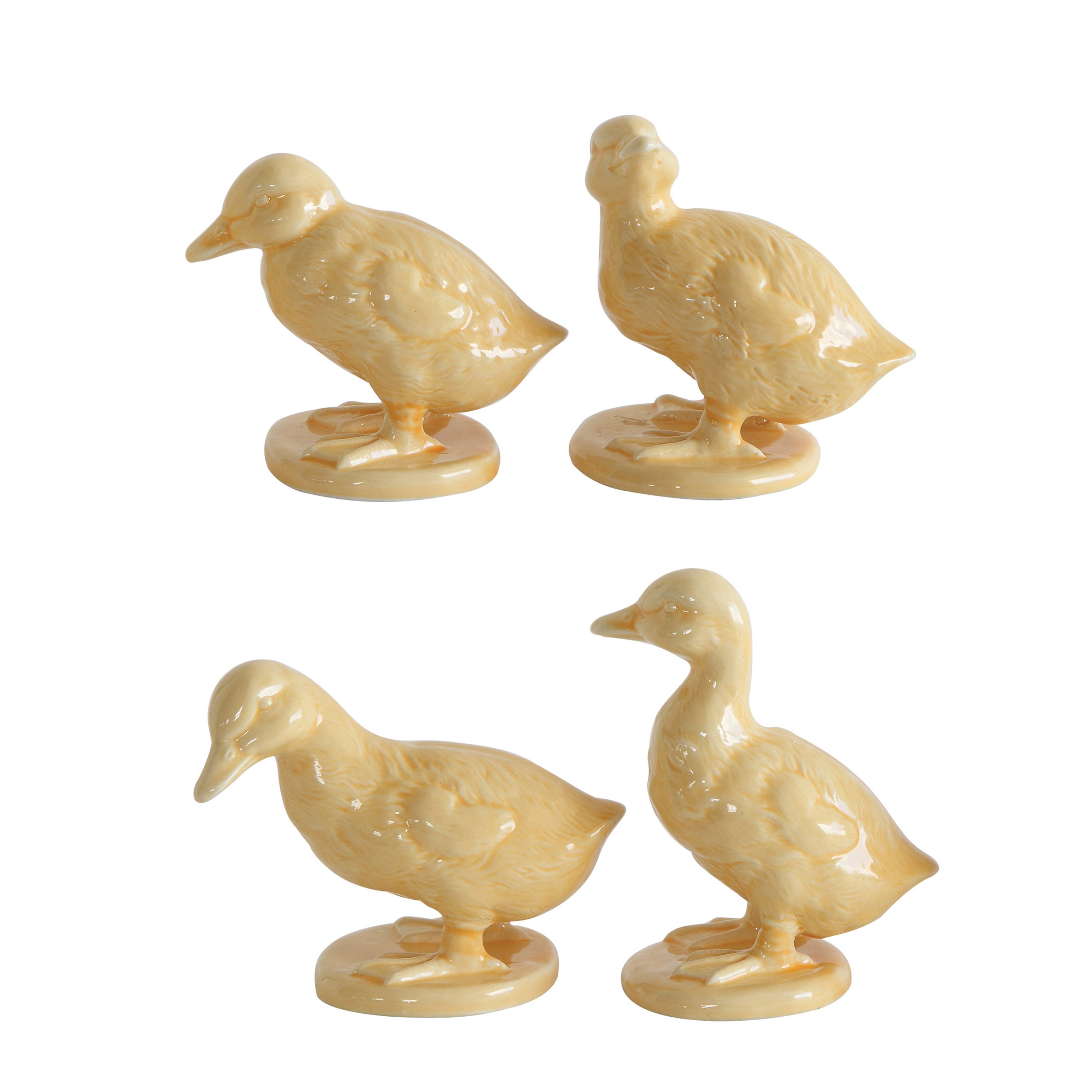 Flock of Ducks (S/4)