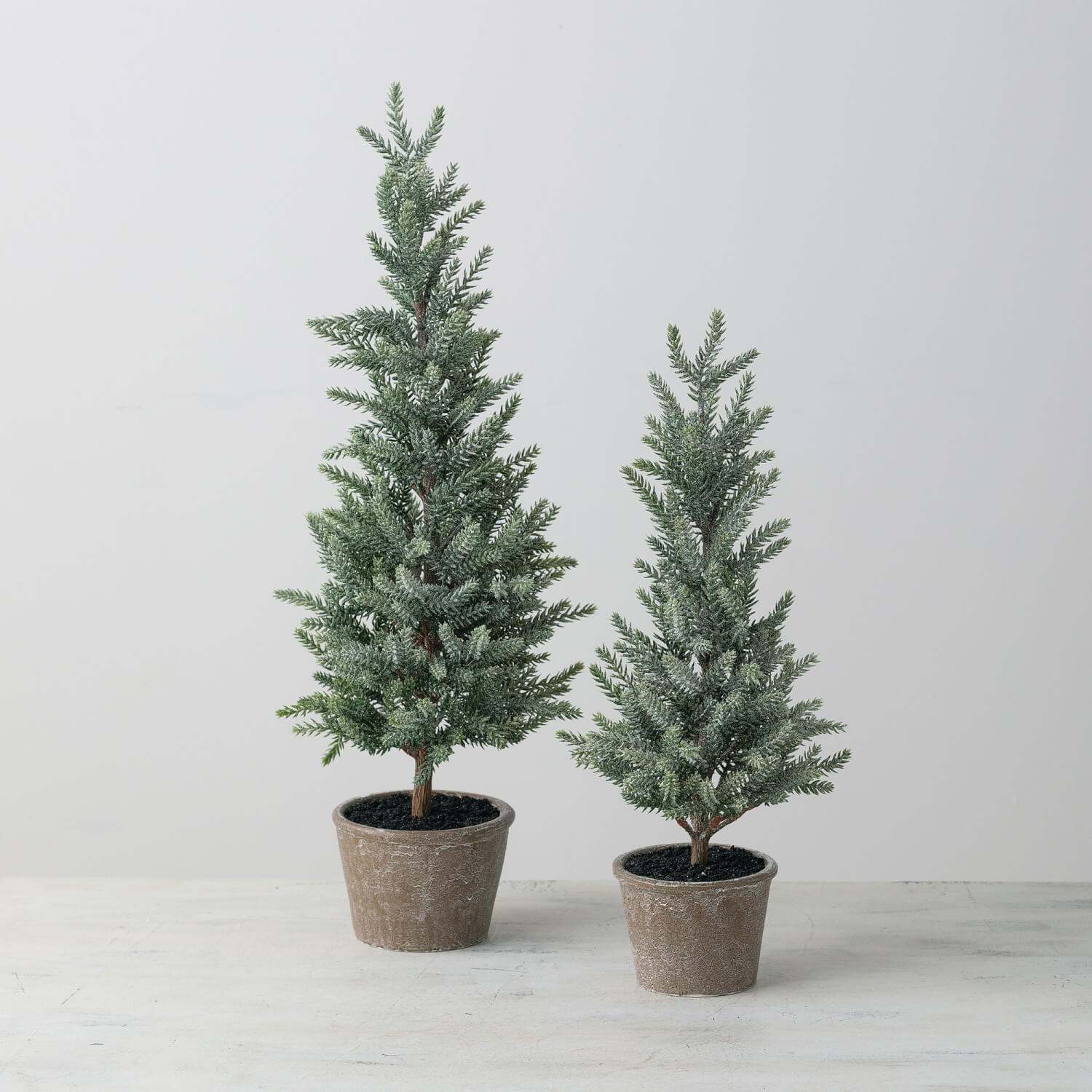 Potted Trees (S/2)